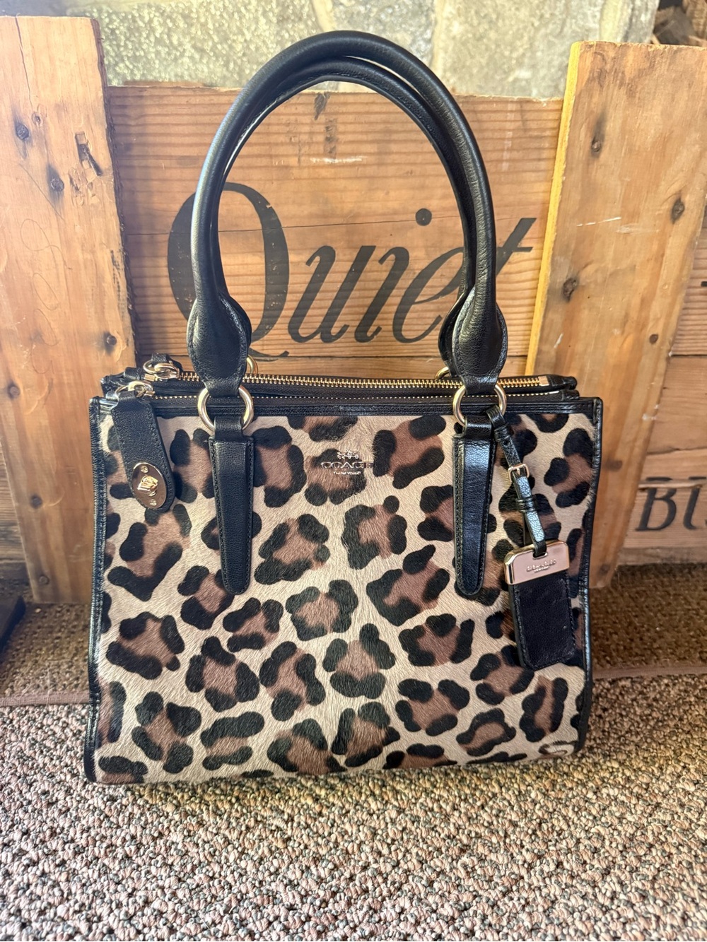 Coach Printed Calf hair Carryall
